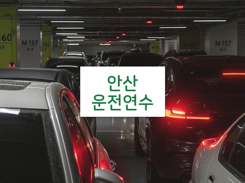 안산운전연수 후기