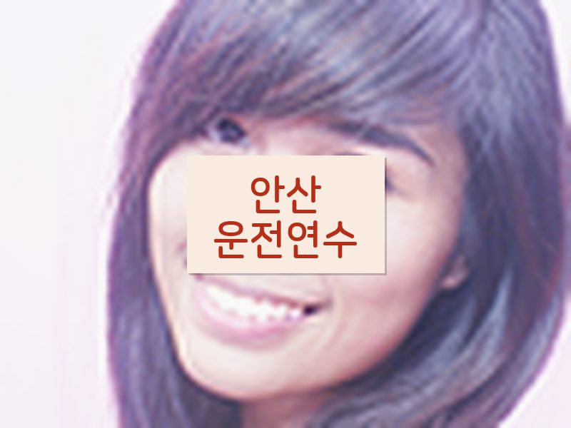 안산운전연수 후기