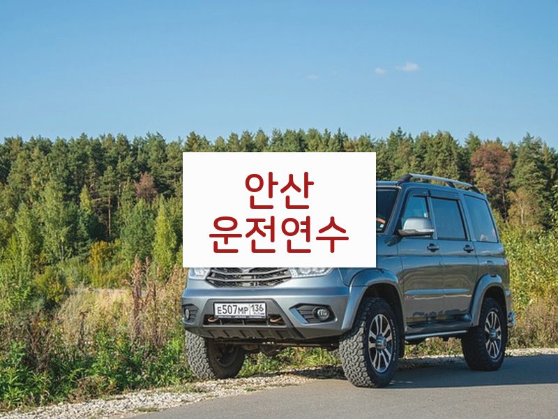 안산운전연수 후기
