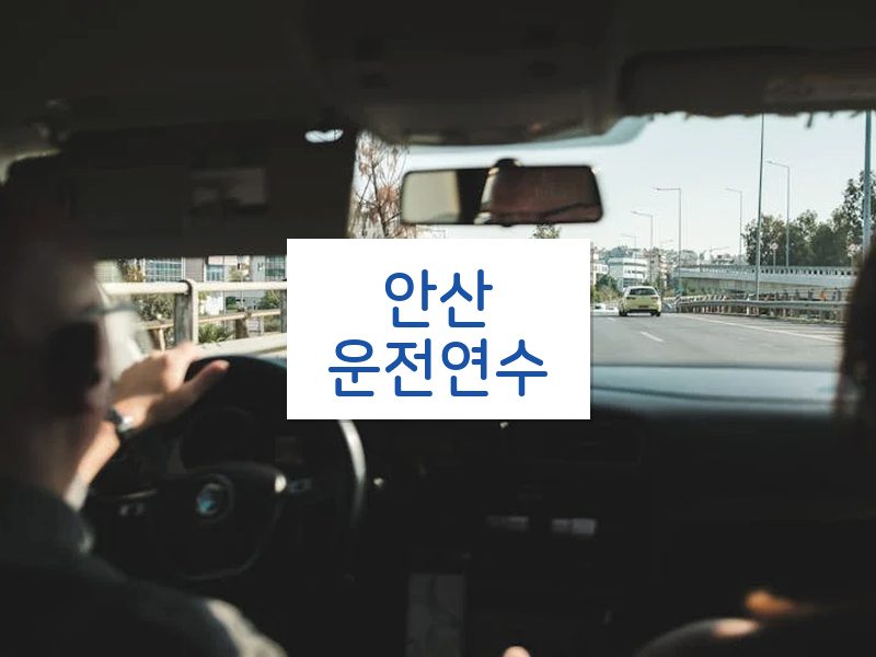 안산운전연수 후기