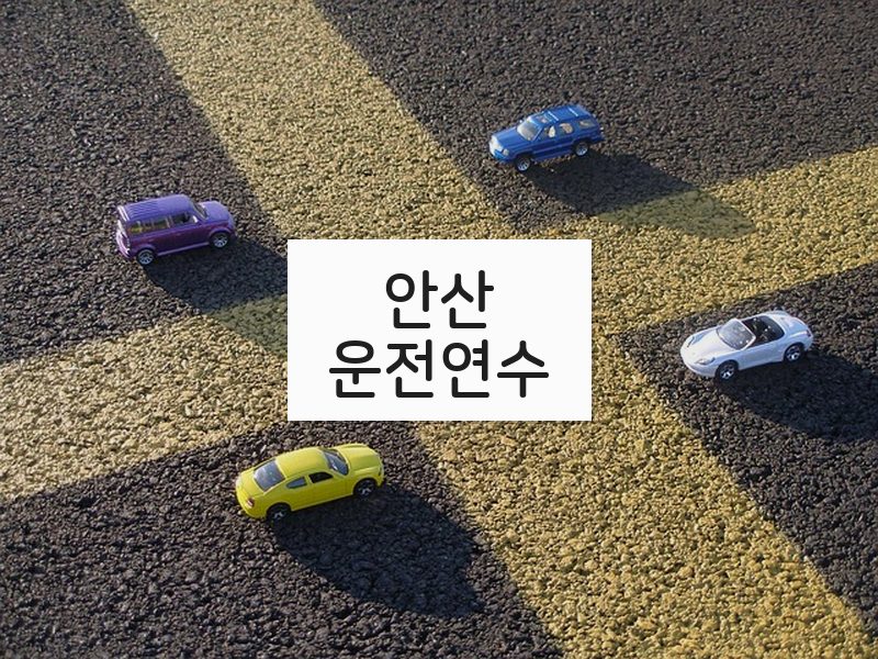 안산운전연수 후기