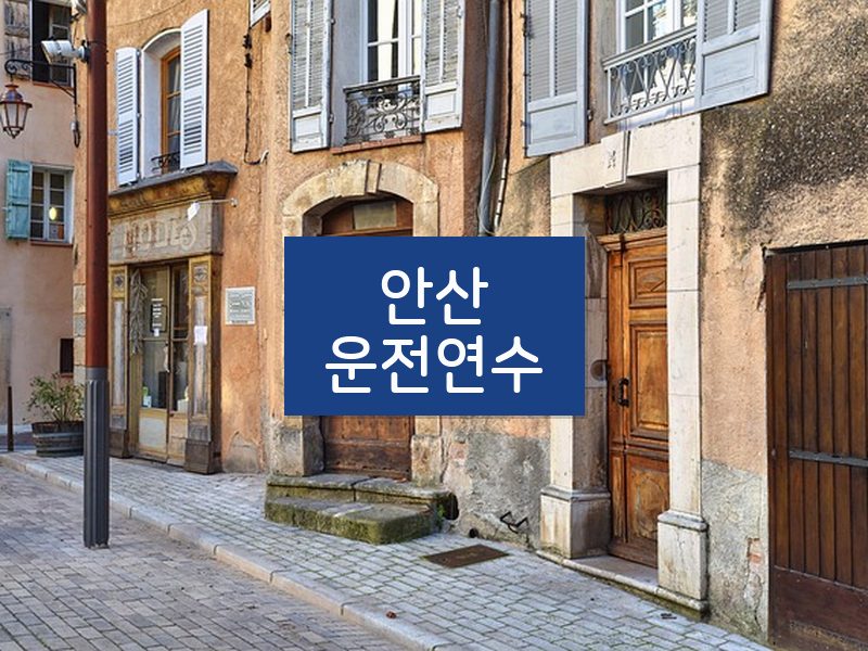 안산운전연수 후기