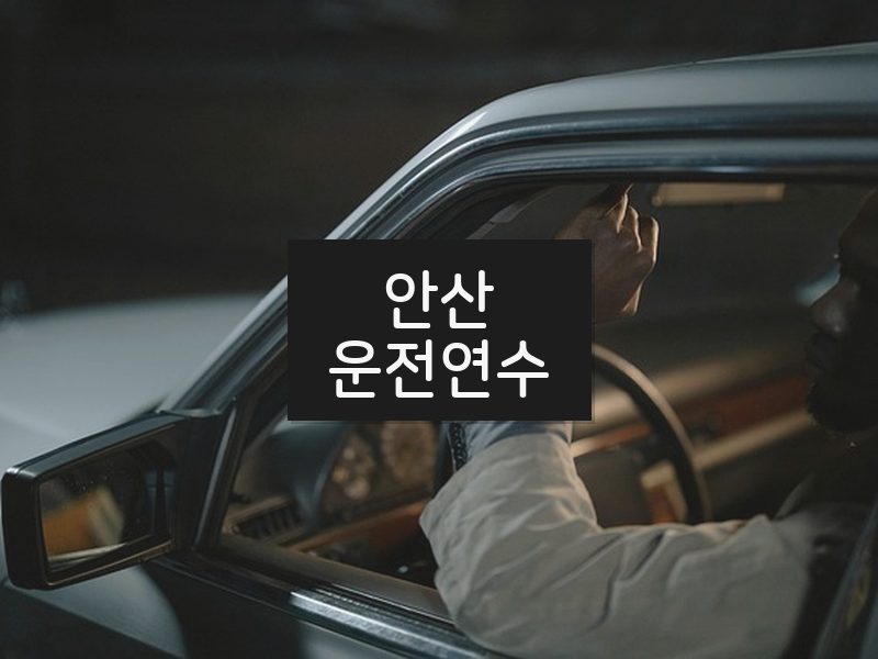 안산운전연수 후기