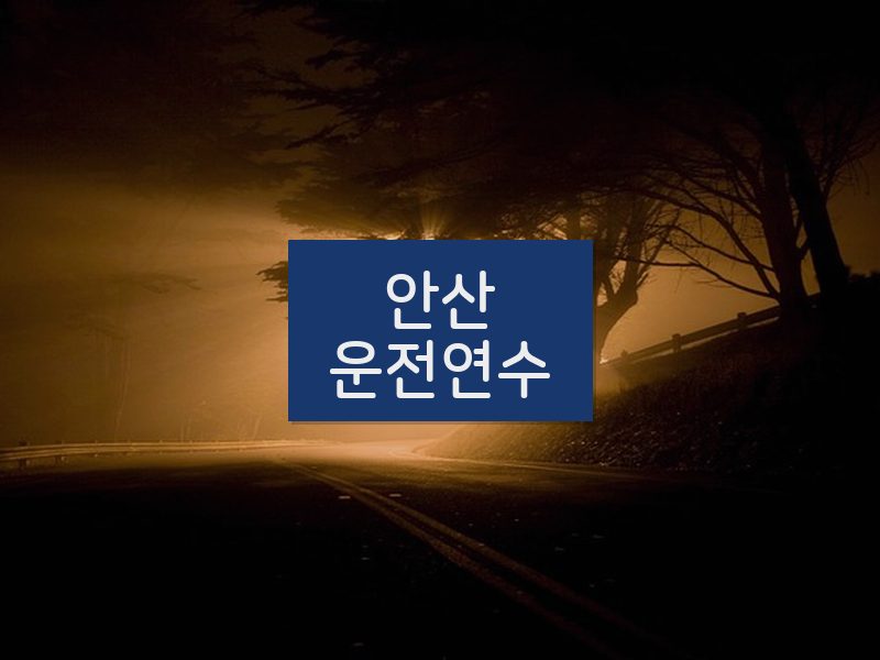 안산운전연수 후기