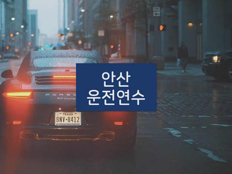 안산운전연수 후기