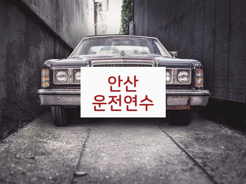 안산운전연수 후기