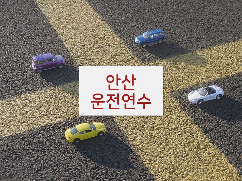 안산운전연수 후기