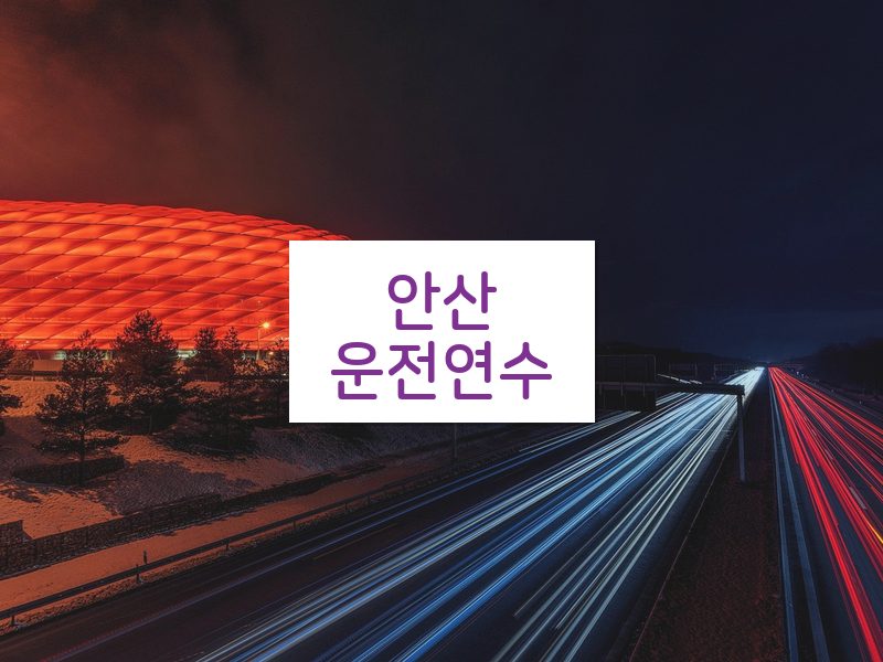 안산운전연수 후기