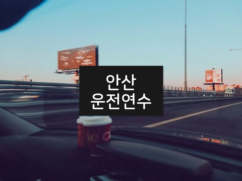 안산운전연수 후기