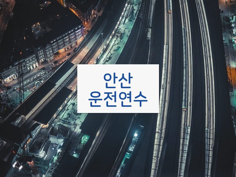 안산운전연수 후기