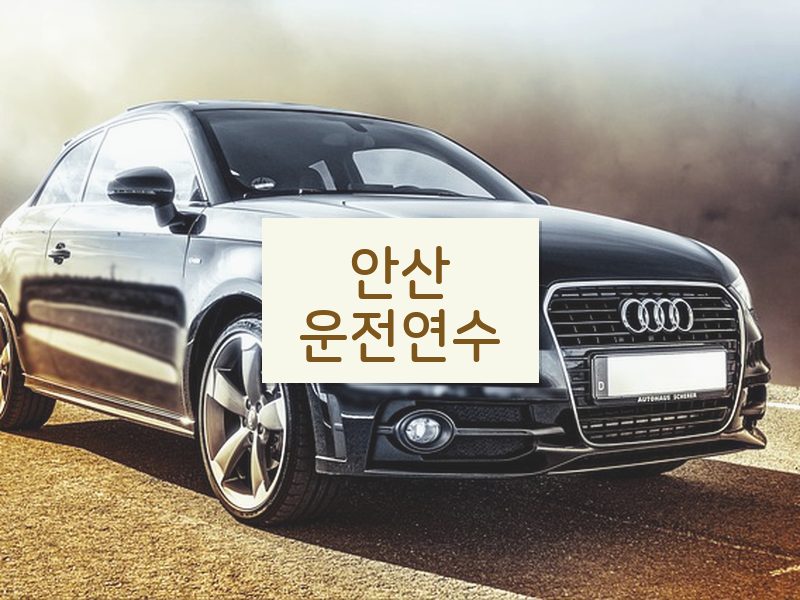 안산운전연수 후기