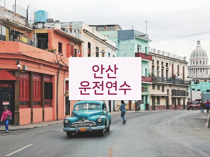 안산운전연수 후기