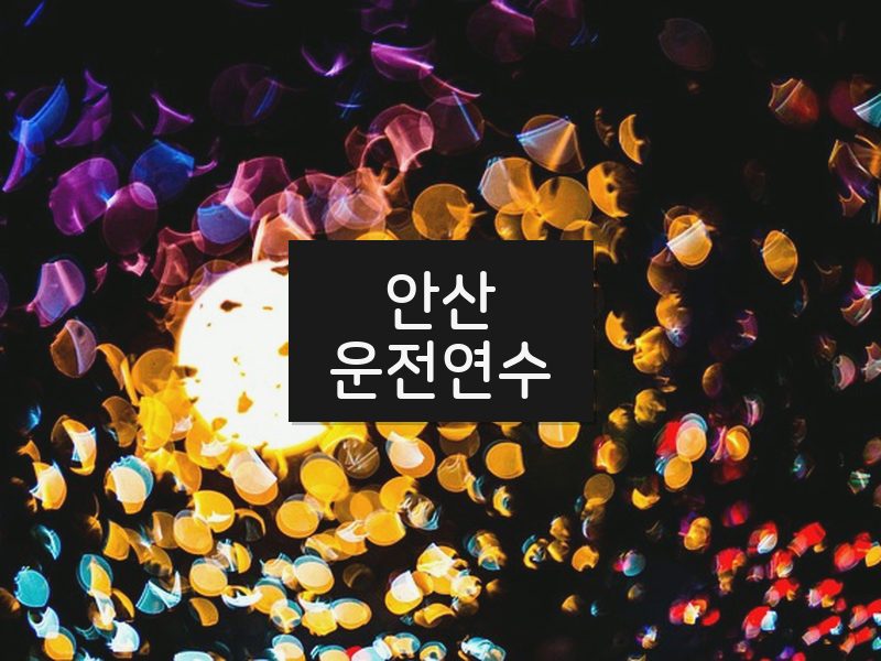 안산운전연수 후기