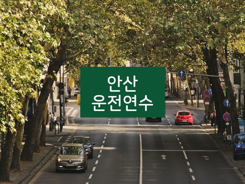 안산운전연수 후기