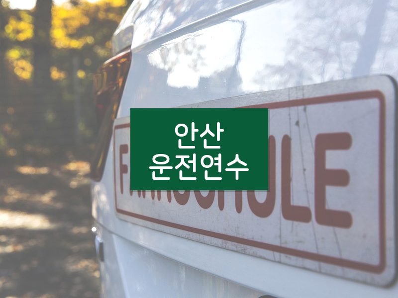 안산운전연수 후기