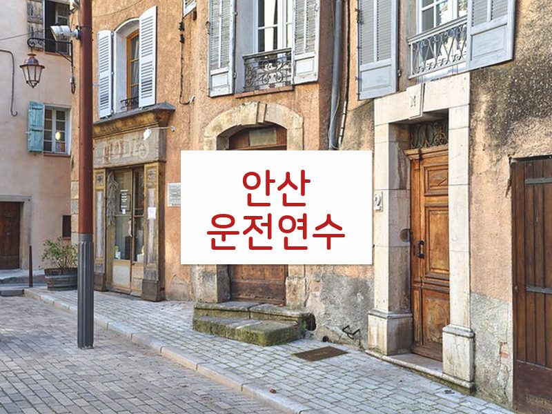 안산운전연수 후기