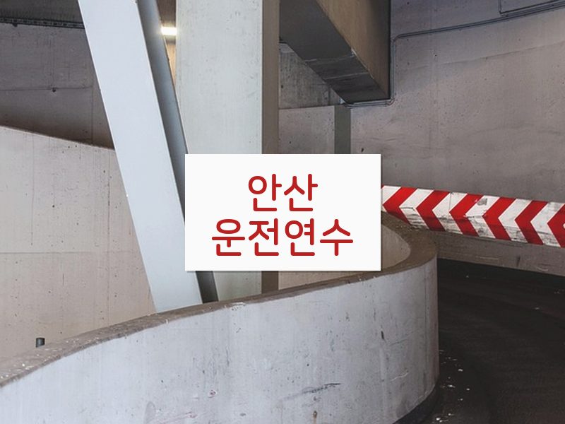 안산운전연수 후기
