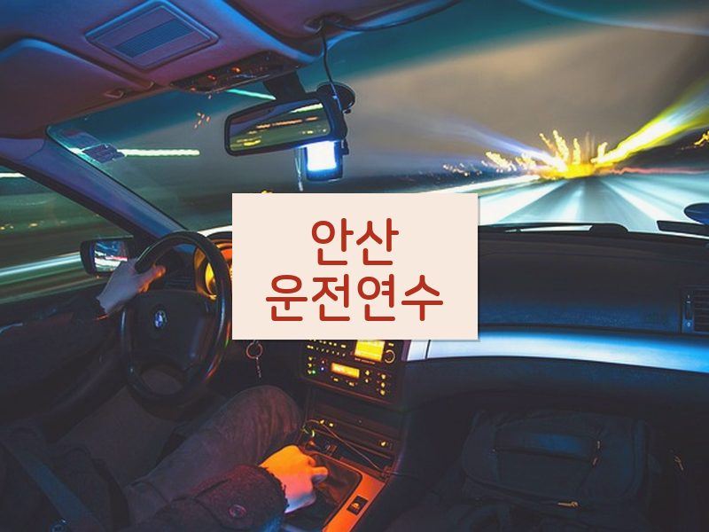 안산운전연수 후기