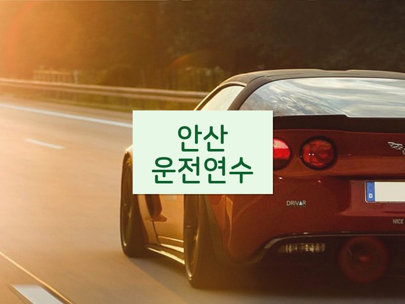 안산운전연수 후기