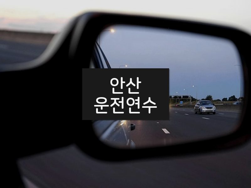 안산운전연수 후기