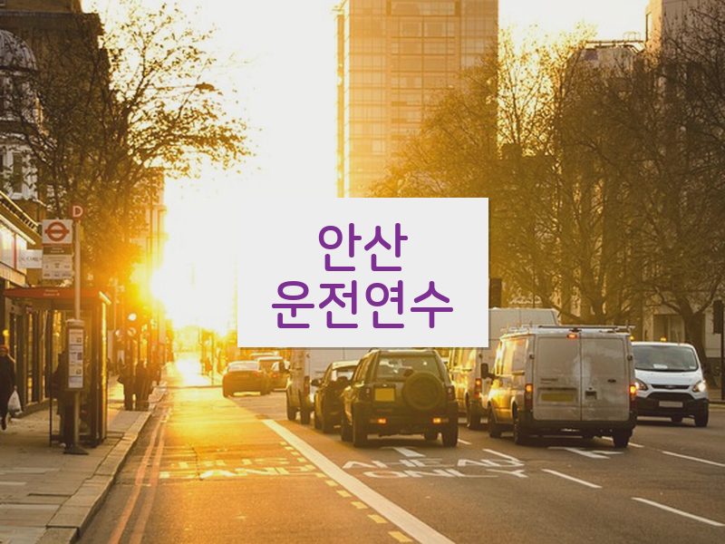 안산운전연수 후기