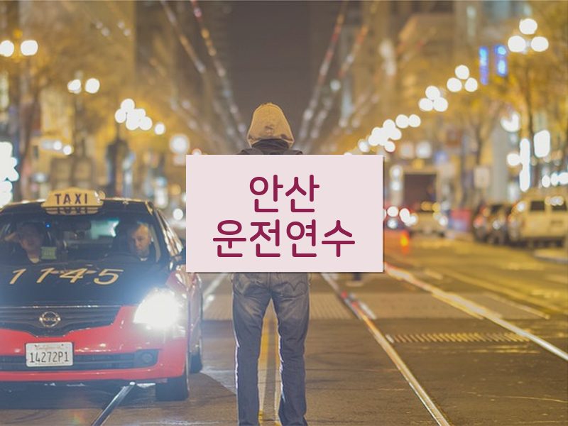 안산운전연수 후기
