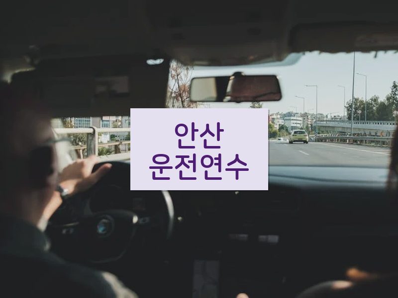 안산운전연수 후기
