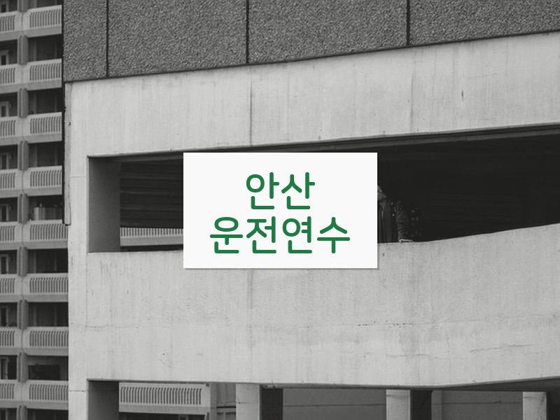 안산운전연수 후기