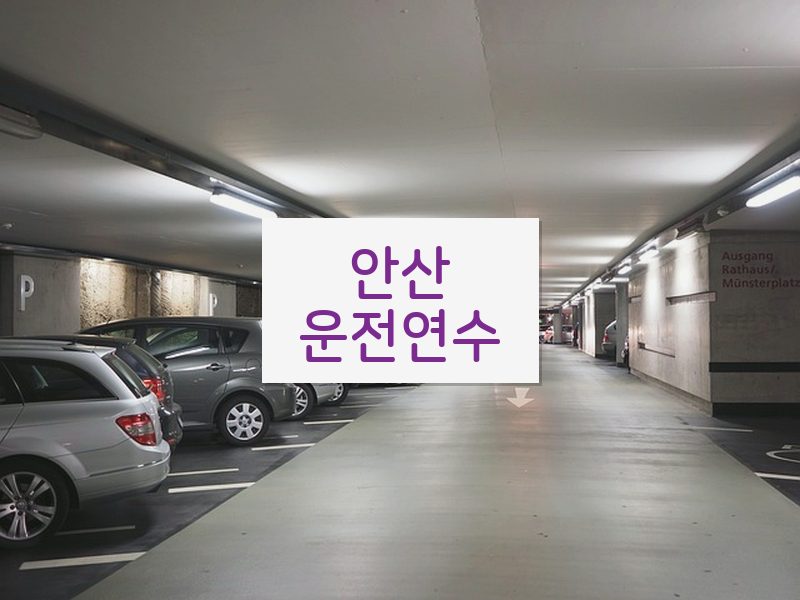 안산운전연수 후기