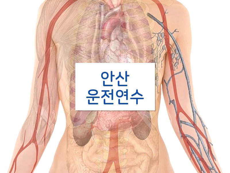 안산운전연수 후기