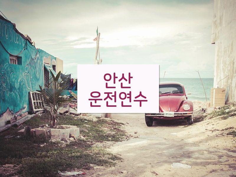 안산운전연수 후기