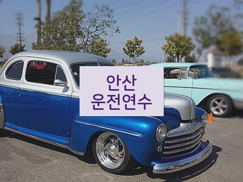 안산운전연수 후기