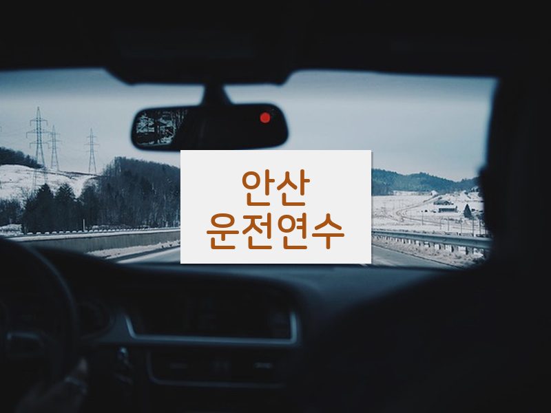안산운전연수 후기