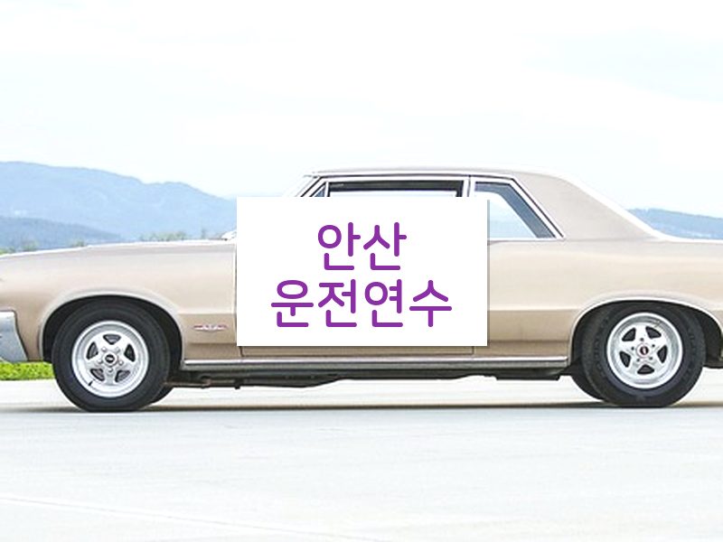 안산운전연수 후기
