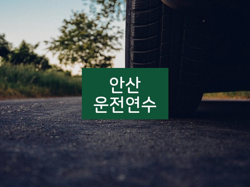 안산운전연수 후기