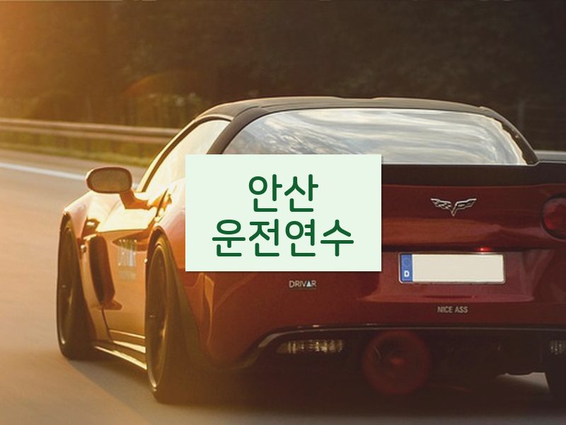 안산운전연수 후기