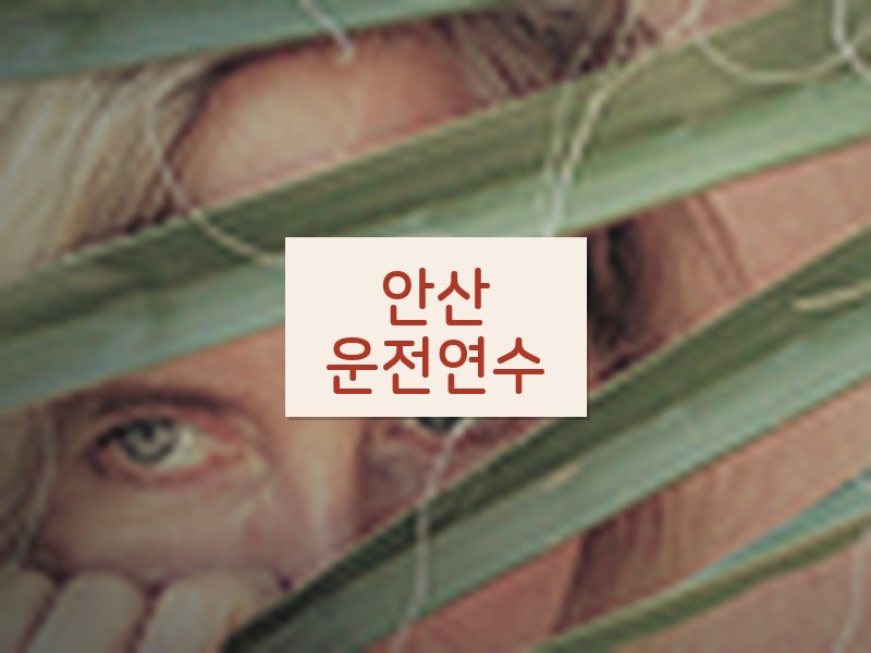 안산운전연수 후기