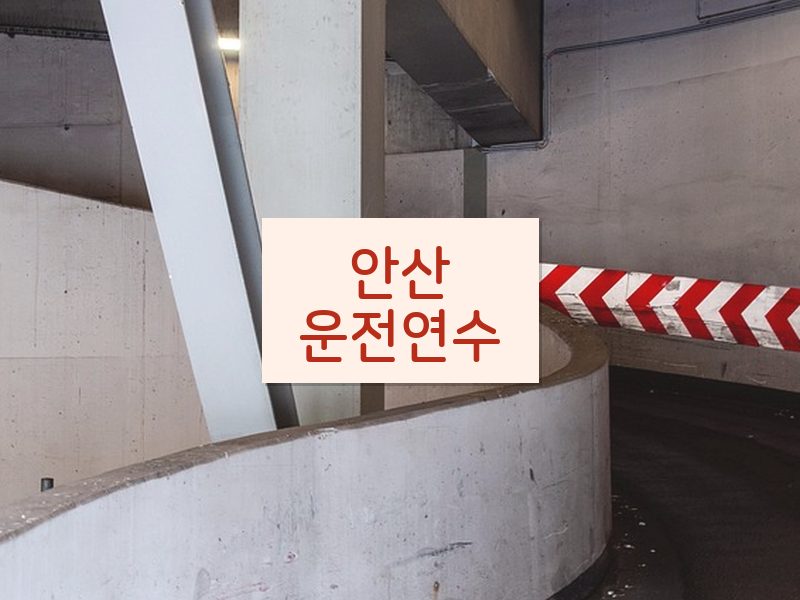 안산운전연수 후기
