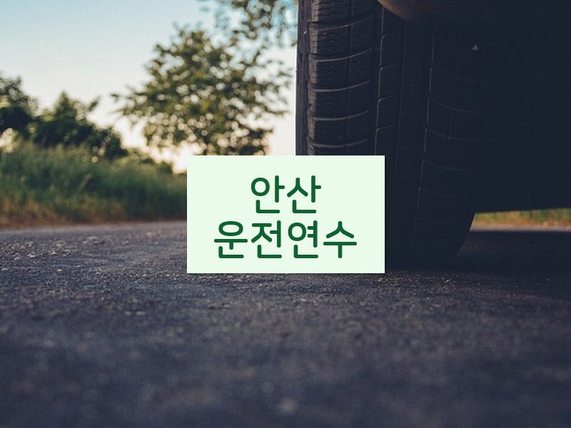 안산운전연수 후기