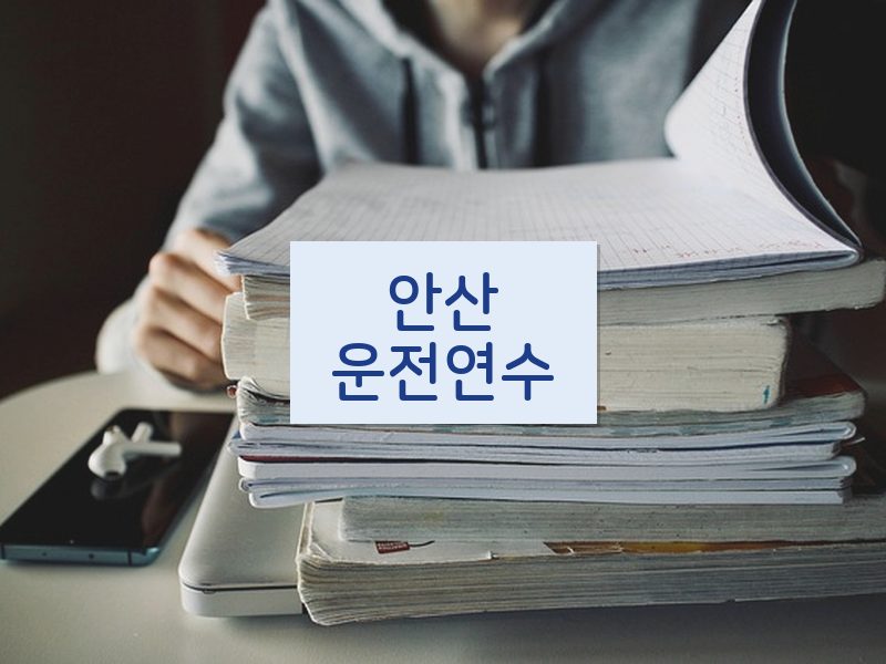안산운전연수 후기