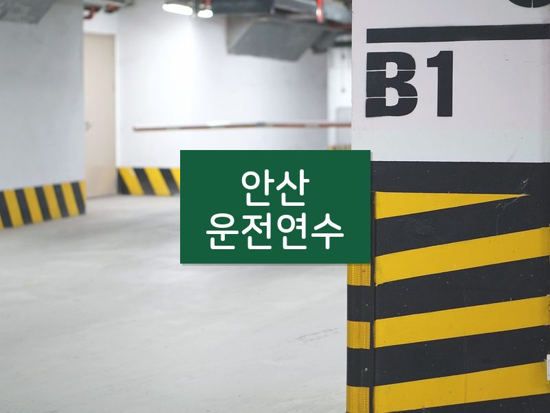 안산운전연수 후기