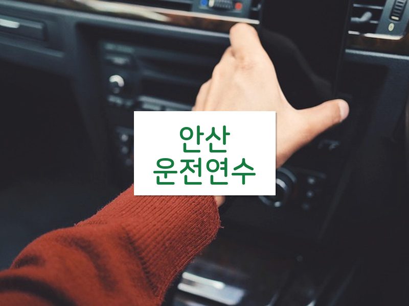 안산운전연수 후기