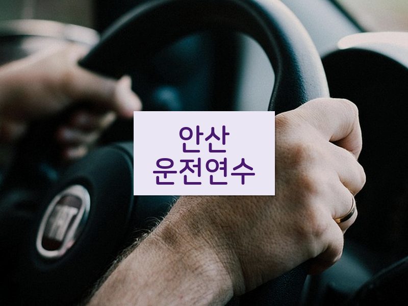 안산운전연수 후기