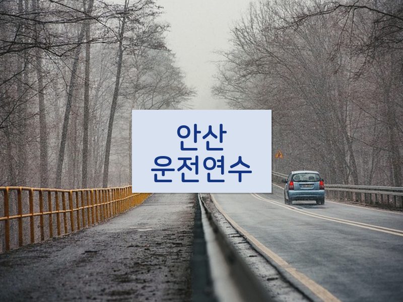 안산운전연수 후기