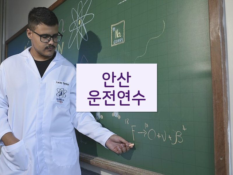 안산운전연수 후기