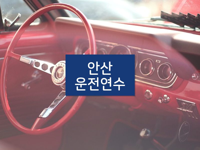 안산운전연수 후기