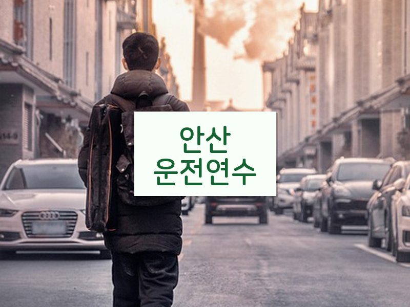 안산운전연수 후기