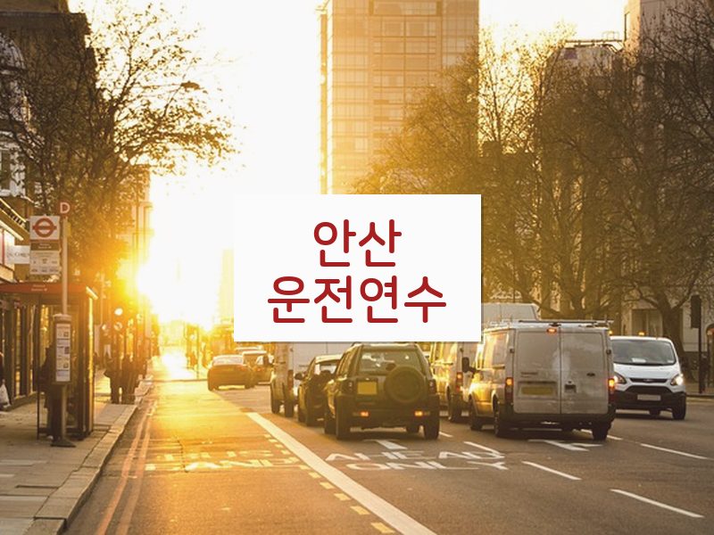 안산운전연수 후기