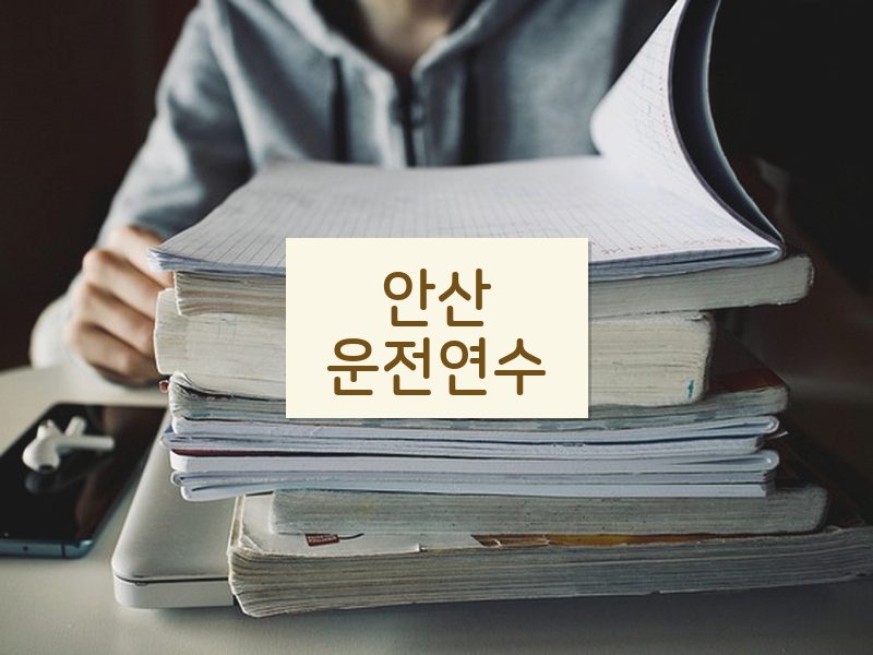 안산운전연수 후기