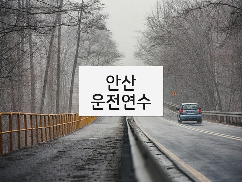 안산운전연수 후기